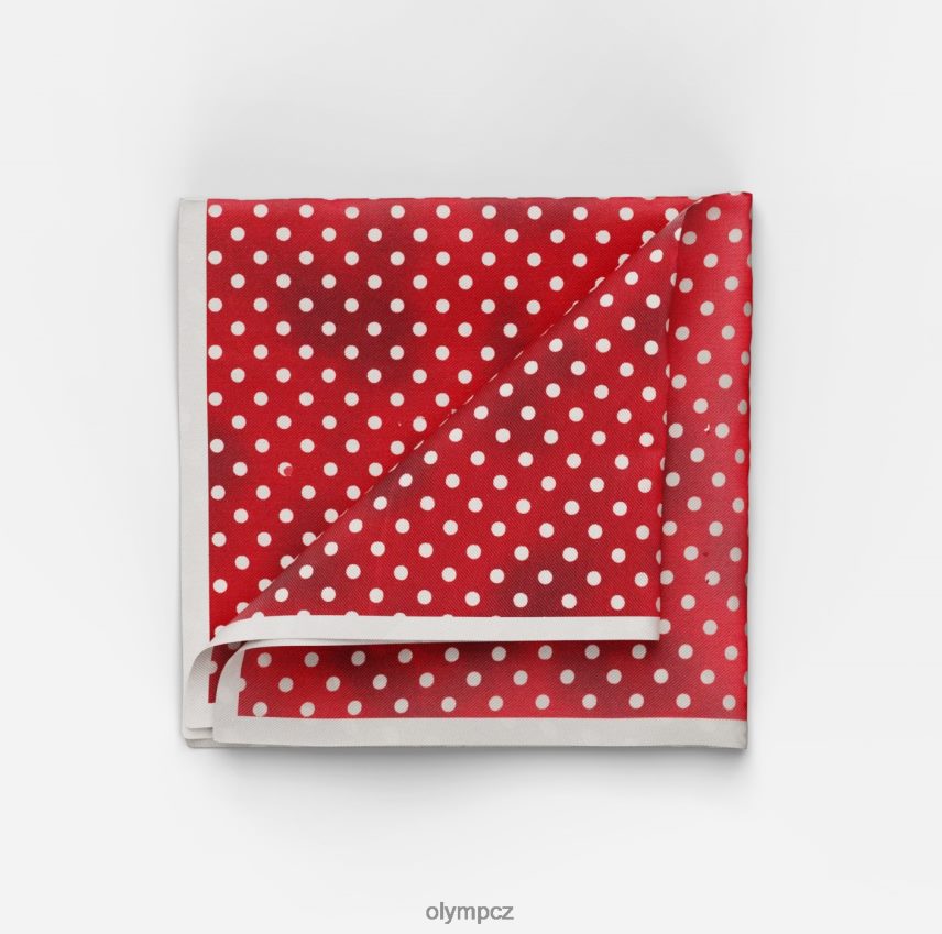 Příslušenství OLYMP kapsář 30x30 cm, červená PN44462600