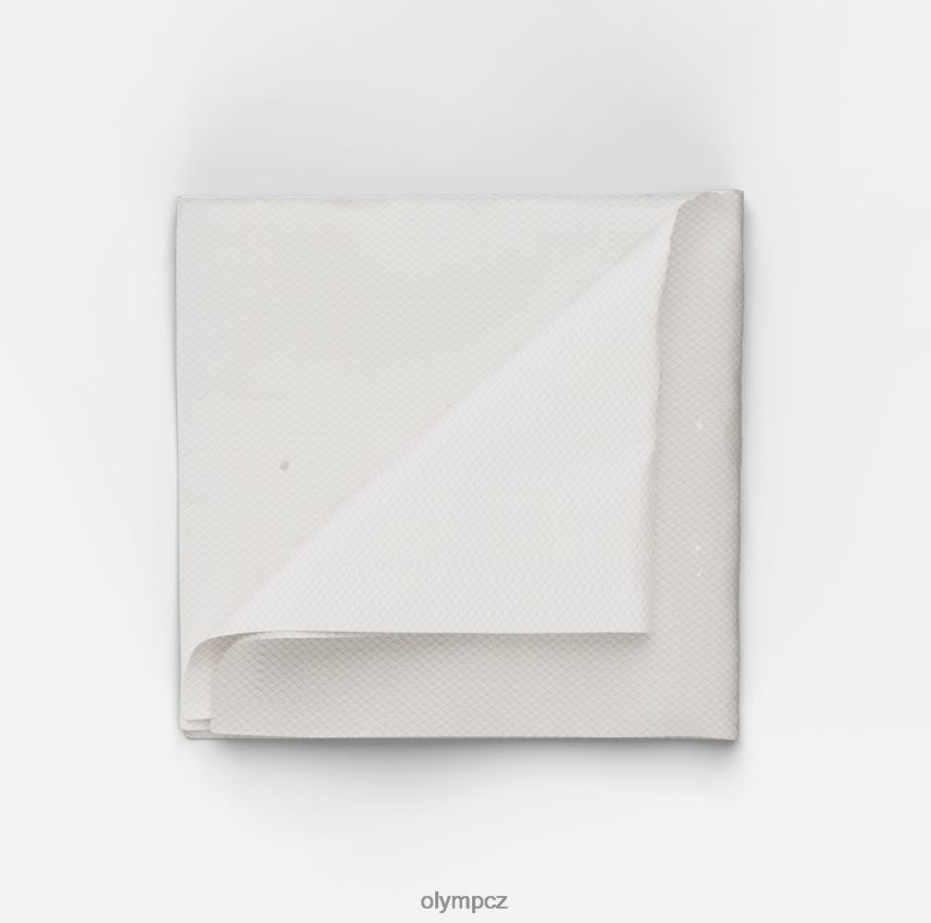 Příslušenství OLYMP kapsář 33x33 cm, champagne PN44462542