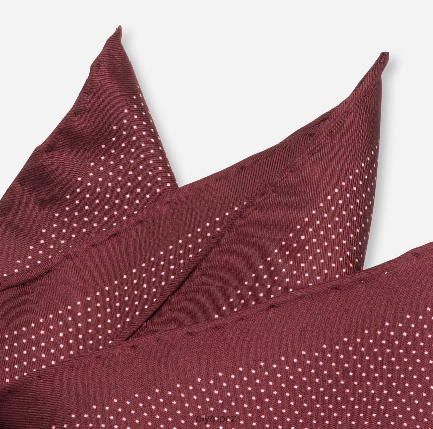 Příslušenství OLYMP kapsář 33x33 cm, tmavě červená PN44462614